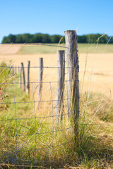 Naklejka premium Wooden fence with barbed wire for livestock protection on a farm. Vertical photo. Summer countryside landscape with blurred fields and meadows.