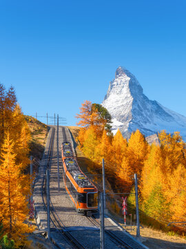 Passenger train on a railway in Zermatt, Switzerland. Autumn nature in the Swoss Alps. Vertical composition. Train passes through autumn forest with Matterhorn peak in background.
