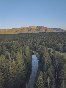 Aerial view of Le Petit Canada featuring a winding river flowing through a dense pine forest with a large mountain range in the background in Bolquere, Occitanie, France.