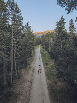Aerial view of Le Petit Canada featuring a person walking a dog along a dirt path surrounded by dense pine trees with mountains in the background in Bolquere, Occitanie, France.