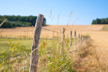Naklejka premium Wooden fence with barbed wire for livestock protection on a farm. Summer countryside landscape with blurred fields and meadows.