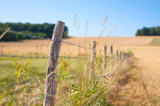 Wooden fence with barbed wire for livestock protection on a farm. Summer countryside landscape with blurred fields and meadows.