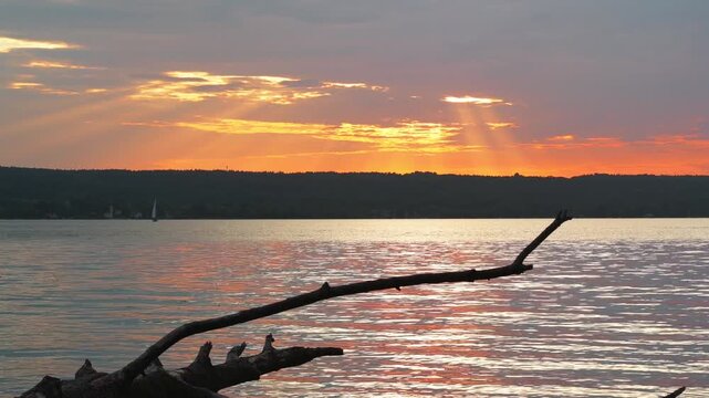 Abgestorbener Baumstamm lieg im Wasser, Sonnenuntergang am Ammersee, Oberbayern, Bayern, Deutschland