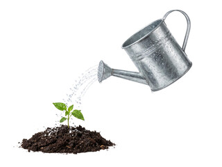 Watering Can Pouring Water on Seedling © Wisdom