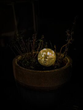 Glowing cracked glass solar ball light nestled inside a potted plant with dried foliage in the dark night garden