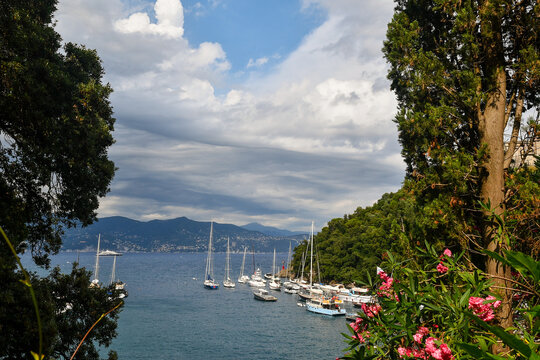Scenic view of yachts and sailboats moored in Portofino bay near Punta del Coppo framed by green trees, Liguria, Italy