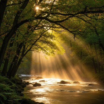 Golden sunlight filters through dense tree canopies onto a sparkling river, creating ethereal light beams in a peaceful, lush woodland, ethereal, morning, beams