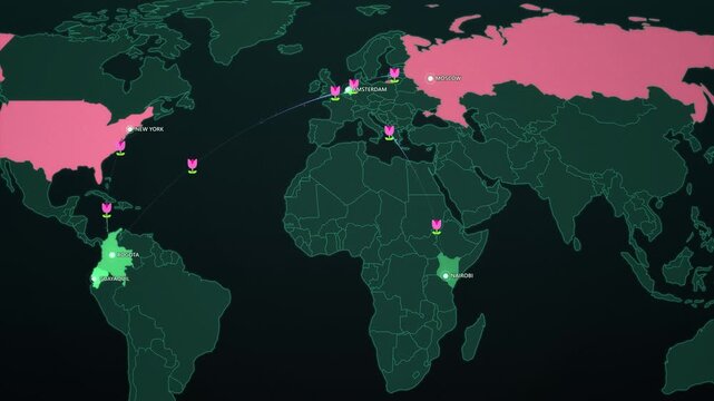 Flower Export Routes on Dark Map, Kenya Colombia Ecuador to Amsterdam Auction Animated Motion Graphics Seamless Loop, 4K