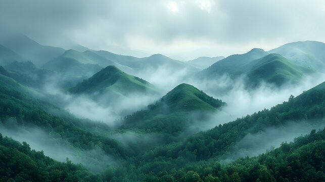 Serene Misty Mountainscape with Lush Green Hills and Fog