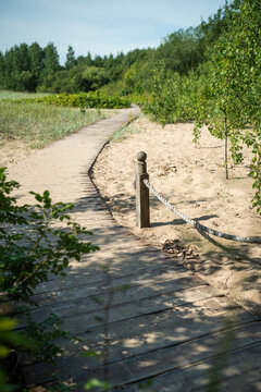 Ecological hiking trail in national park through sand dunes, beach, sedge thickets and trees, wooden path with wooden post with rope through environment along sea shore. walks in countryside 