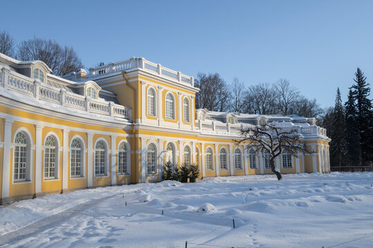 PETRODVORETS, RUSSIA - FEBRUARY 14, 2026: The ancient building of the Large Greenhouse on a February day. Lower Park of the Peterhof palace and park complex
