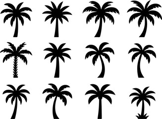 Naklejka premium Set of black silhouette palm trees different shapes vector illustration