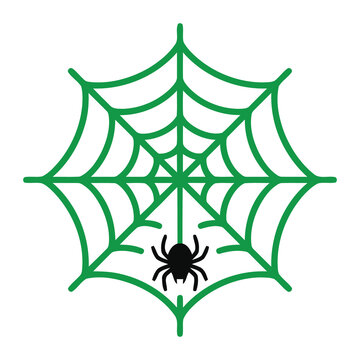 Green spider web with spider vector illustration for creepy Halloween horror spooky seasonal background graphic element
