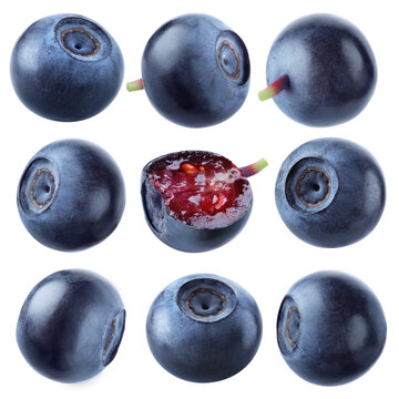 Eight whole bilberries and one cut berry arranged in a three by three square grid isolated on transparent background.