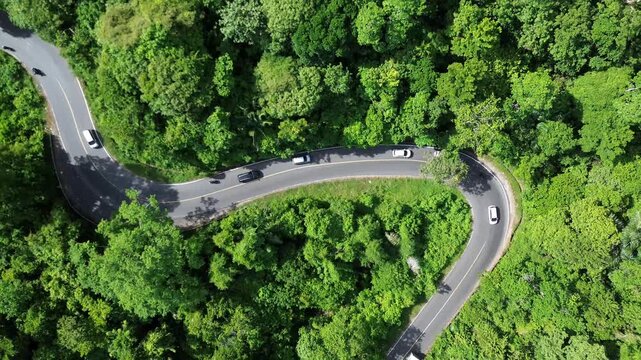 Drone view shows numerous vehicles traversing a winding road surrounded by dense tropical forest. The camera moves upwards.