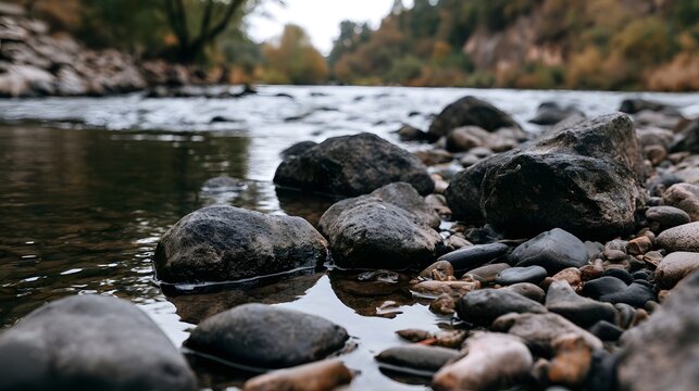 A serene river flows gently past smooth stones and pebbles under soft autumnal light  creating a tranquil natural scene
