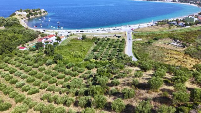 Aerial view of olive groves beside the turquoise coast of Toroni in Sithonia, Halkidiki, Greece, with Mediterranean farmland, beach, small boats and ancient fortress ruins by the sea.