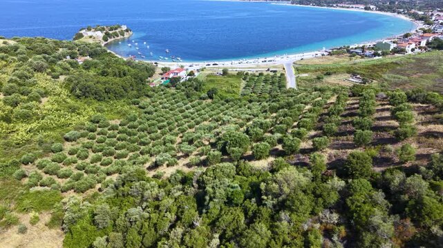 Aerial view of olive groves beside the turquoise coast of Toroni in Sithonia, Halkidiki, Greece, with Mediterranean farmland, beach, small boats and ancient fortress ruins by the sea.