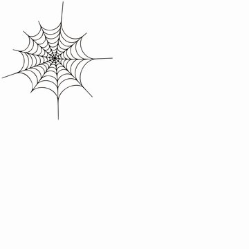 Continuous Line Drawing of Spider Web in Corner