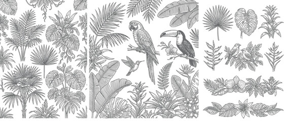 Vintage Tropical Jungle Flora and Fauna Illustration © mimis