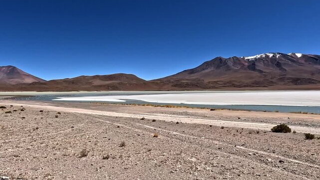 Stunning panoramic view of a flock of flamingos in a remote salt flat lake at the base of snow capped mountains in the andes