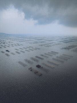 Aerial view of the oyster farming beds in the Etang de Thau, with rows of wooden structures stretching across the calm water under a cloudy sky in Herault, Occitanie, France.