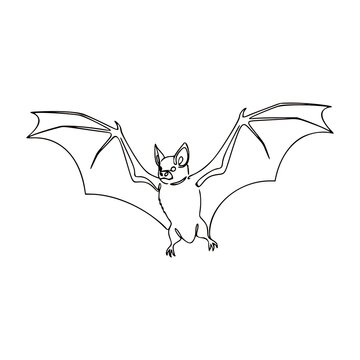 Continuous Line Drawing of Flying Bat with Spread Wings
