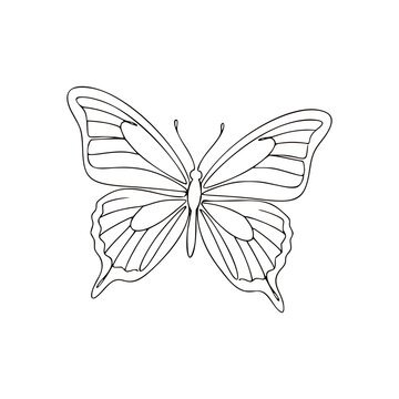 Continuous Line Drawing of Butterfly with Open Wings