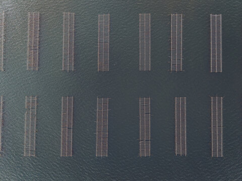 Aerial view of oyster farming structures in the Etang de Thau, showing rows of wooden racks submerged in the water in Herault, Occitanie, France.
