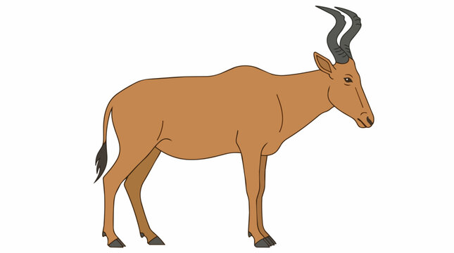 African Hartebeest Antelope Illustration Standing on White Background Side View Wildlife Nature Graphic Element
