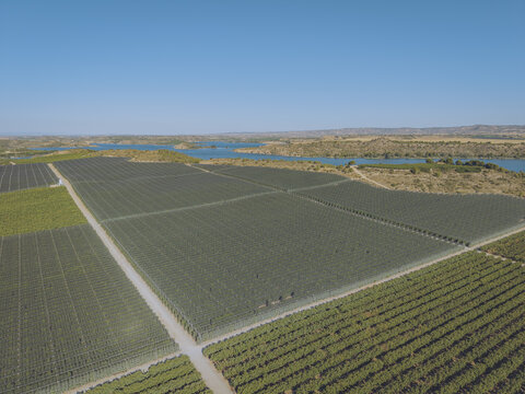 Aerial view of Finca El Pino featuring vast agricultural fields covered with protective netting, dirt paths, and a nearby reservoir under a clear blue sky in Caspe, Aragon, Spain.