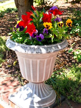 Colorful flower arrangement in decorative pot