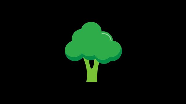 Isolated Broccoli Vegetable Breathing Loop with Alpha Channel