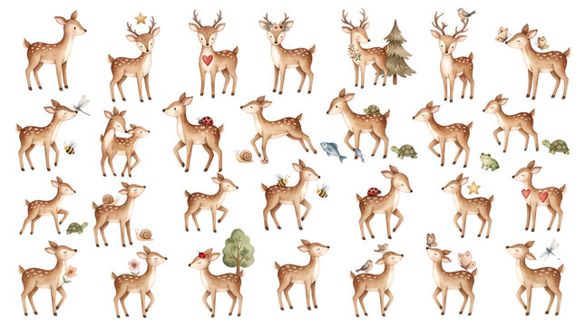 Gentle deer and fawn illustrations in forest settings with seasonal elements, ideal for nature and woodland themed projects.
