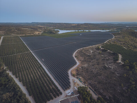 Aerial view of Finca El Pino featuring extensive fruit orchards covered with protective netting near a lake in the rural landscape of Caspe, Aragon, Spain.