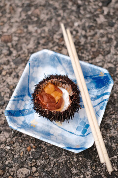 Sea urchin