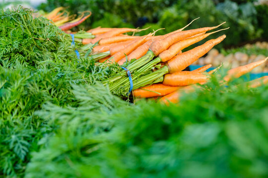 Fresh carrots 