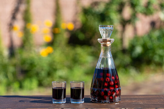 Homemade cherry liqueur in crystal decanter, close up. Traditional infused cherry brandy or liquor in glass decanter with whole berries and two shot glasses on rustic wooden table outdoor in summer