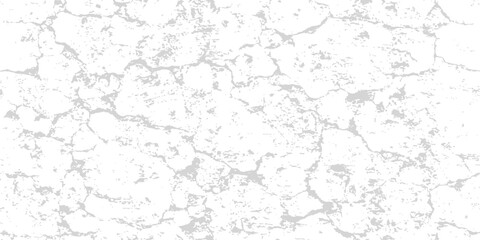 Fototapeta premium Cracked dry earth texture in bright overhead daylight with subtle grey tonal variations