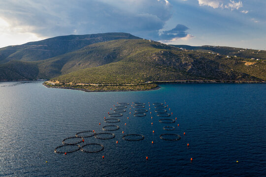 Aquaculture fish farm cages.