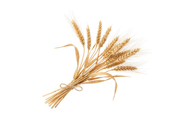Fototapeta premium Sheaf of Ripe Golden Wheat Stalks Tied with Natural Twine