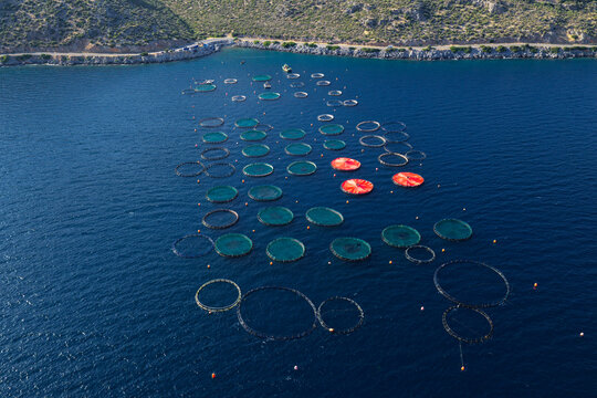 Marine aquaculture fish farm cages in mediterranean sea