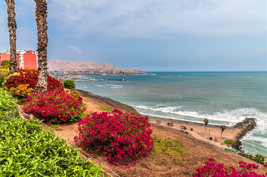 A view past blooming Bougainvillea from the Barranco district on the Pacific coast of Lima, Peru in the dry season