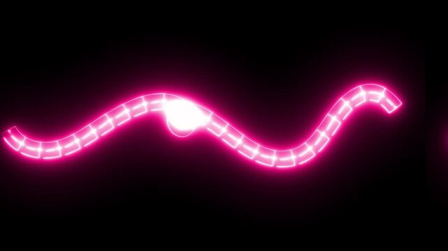 Pink neon electric glowing dashed line wave loop animation black background