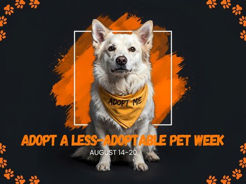 White dog wearing an adopt me bandana for adopt a less adoptable pet week awareness campaign