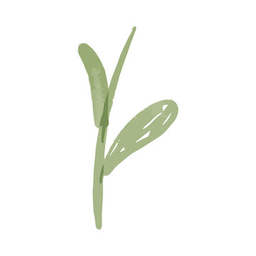 Watercolor Illustration of an green leafes