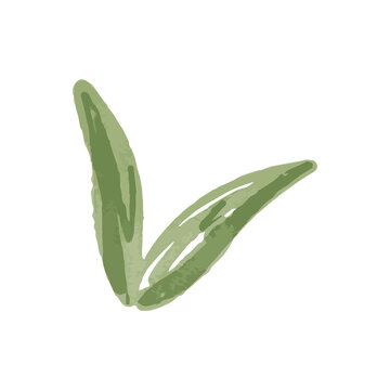 Watercolor Illustration of an green leafes
