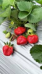 strawberry and mint © Yuli