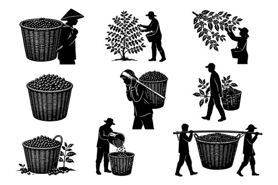 Silhouettes of farmers harvesting coffee beans and carrying baskets.