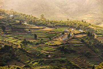 Kodaikanal, Tamil Nadu / India - October 15 2024: Directly overhead top-down drone view of Poombarai village surrounded by an intricate pattern of terraced farm fields. © hasan